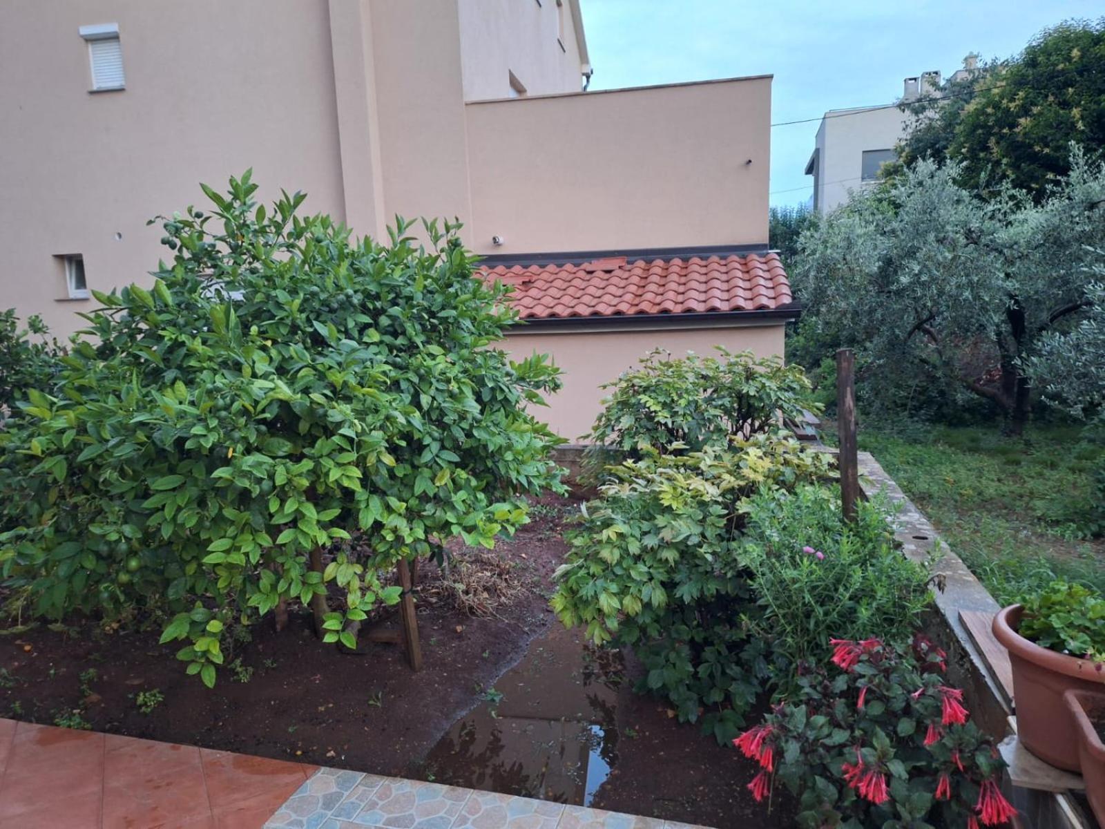 Hana Apartments Zadar Bagian luar foto